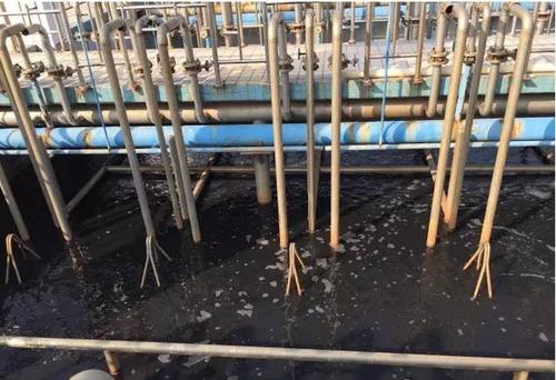 ၆F̎像UˮЧԒ13838587319 O