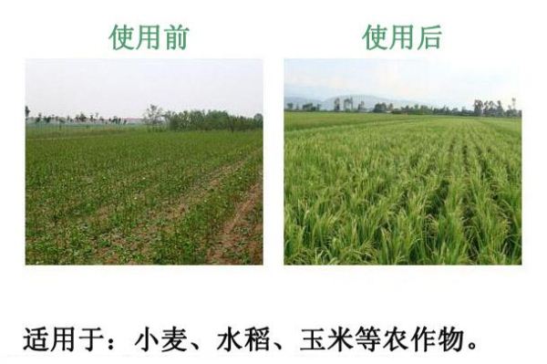 ၆FϵԒ13838587319 O